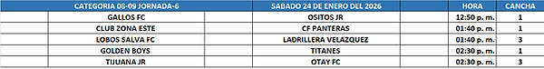 ROL CATEGORIAS 08-09 LALO.png