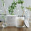 Thumbnail: Alchemy 400gm Scented Soy Candle - White Lotus