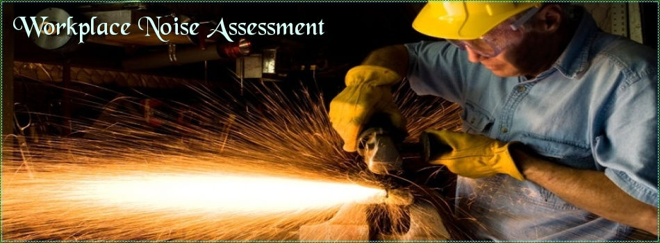 noise monitoring services