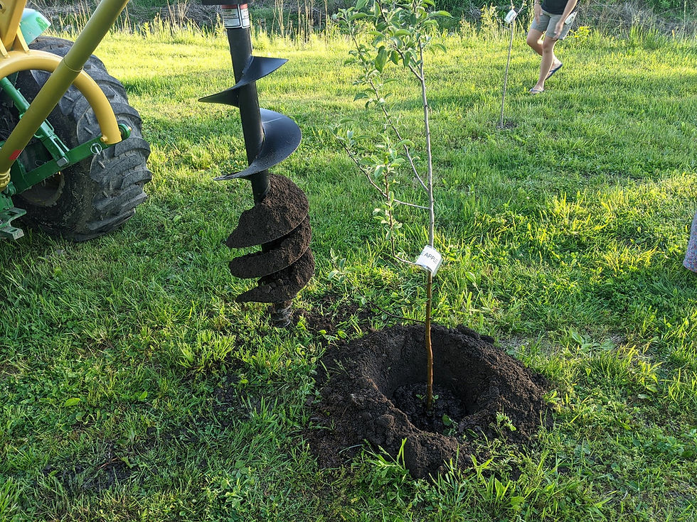 Hole Auguring