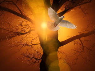 Bishop Tor B’s Pentecost Message 2022