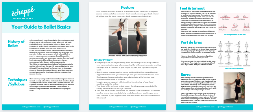 BALLET BASICS A QUICK GUIDE TO UNDERSTANDING BALLET visual data 8