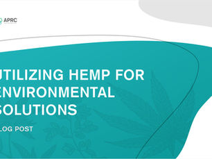 Utilizing Hemp for Environmental Solutions