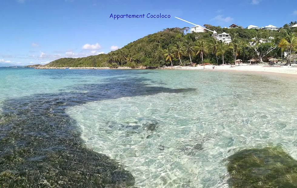 plage appart fleche 2