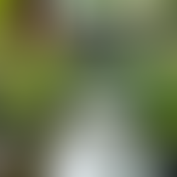 Effective Stormwater Management Techniques Explained