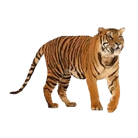ezgif.com-gif-maker (1).gif