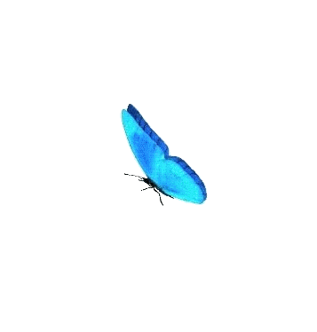 1307486_a83b3.gif