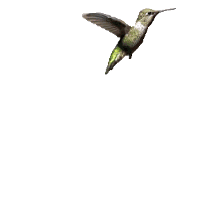 1282383_a7eb8.gif