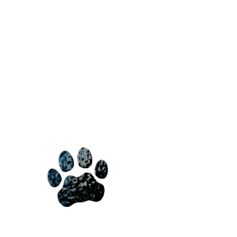 ezgif.com-gif-maker (2).gif
