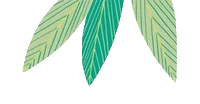 ezgif.com-gif-maker (3).gif
