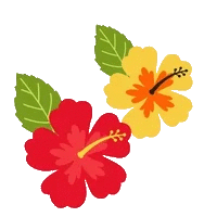 ezgif.com-gif-maker (7).gif