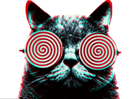 1442153801_giphy.gif
