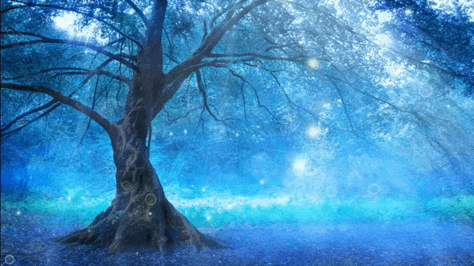 forest.gif