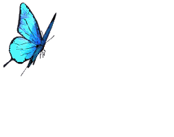papillon.gif
