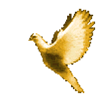 ReliableGenuineCygnet-max-1mb.gif