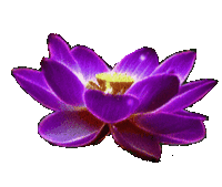 1662945_e998d.gif