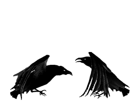 unnamed (1).gif