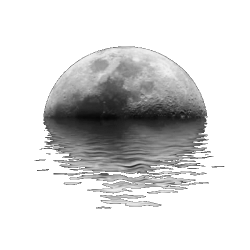 1656242_23975.gif