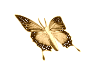 1158741_8019d.gif