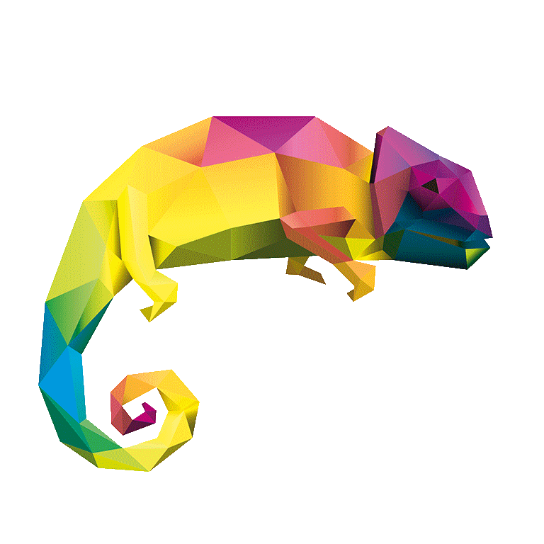 maxdone-caméléon-couleur.gif