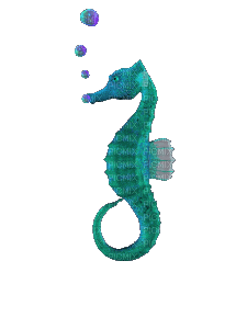 1275708_8a962.gif