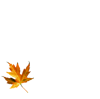 unnamed22.gif