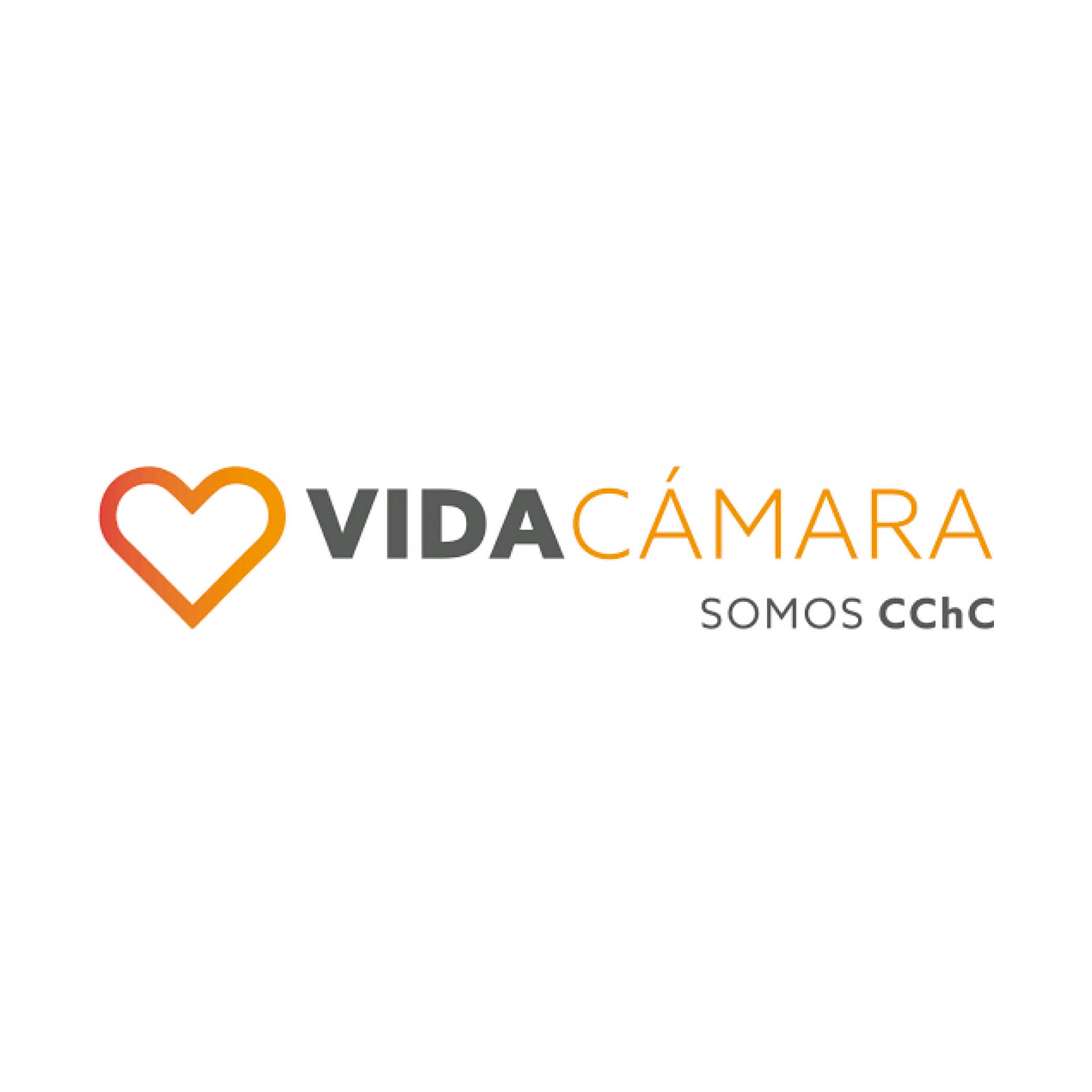 Vida Cámara