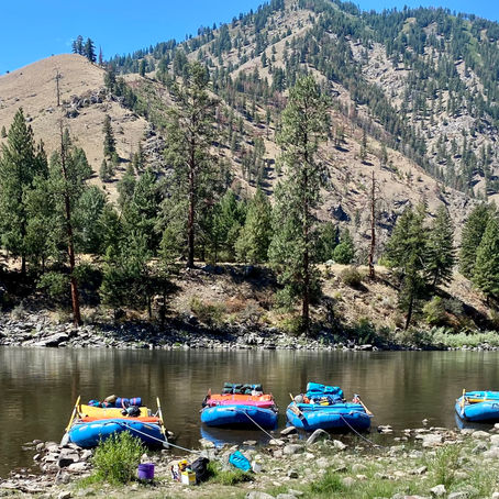 Restoring the Flow: Salmon, Dams, Wildfires and the Mighty Columbia Watershed