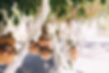 Styled Stock Society Tropical Vibes 8.jpg