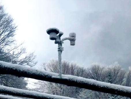 Inverno 24-25 sul Monte Scuro, in Sila: tra neve e periodi troppo miti! I dati della stazione di MLG.