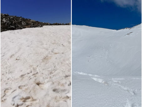 Il NEVAIO più meridionale d’Europa, in CALABRIA: l’escursione di MLG sul Pollino conferma una stagione di tenuta nivale molto superiore al 2024!