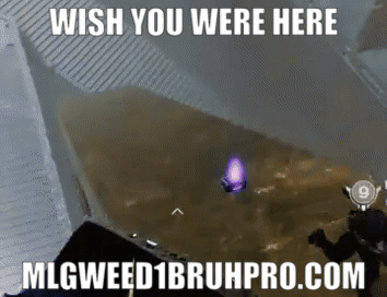 wish you were here.gif