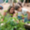 Woman and young boy examine tomato plants in outdoor garden bed.