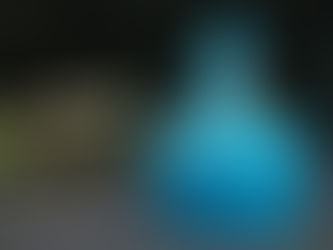 At Vizcaya Museum and Gardens