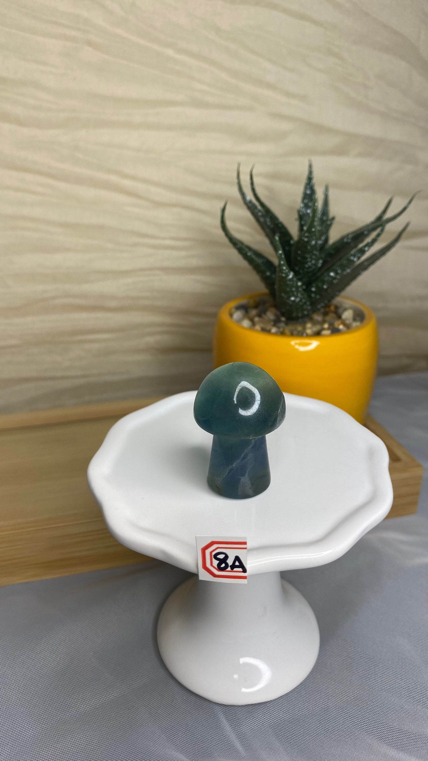 Blue/Green Fluorite Mushroom 8A