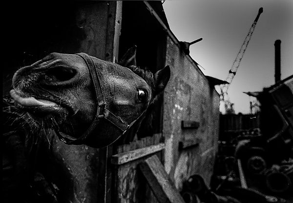 ©_Jim_Rice_._Mikes_Yard_Stowage.__(1_of_