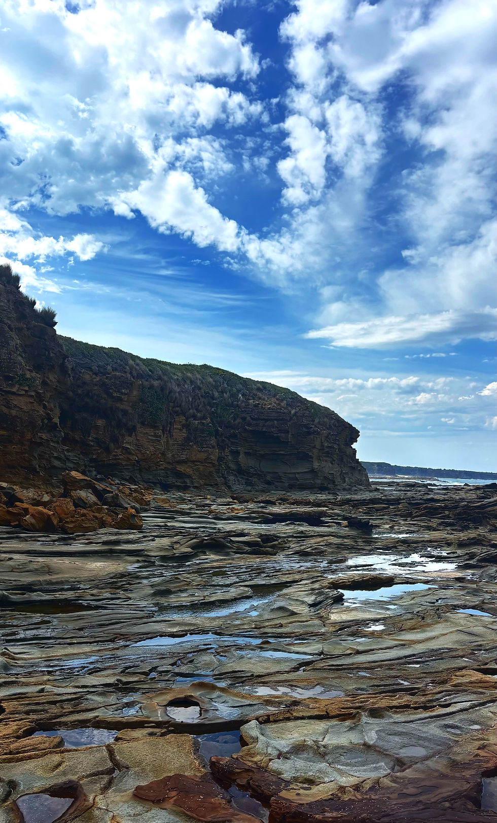 🍀 Reflection 🍀