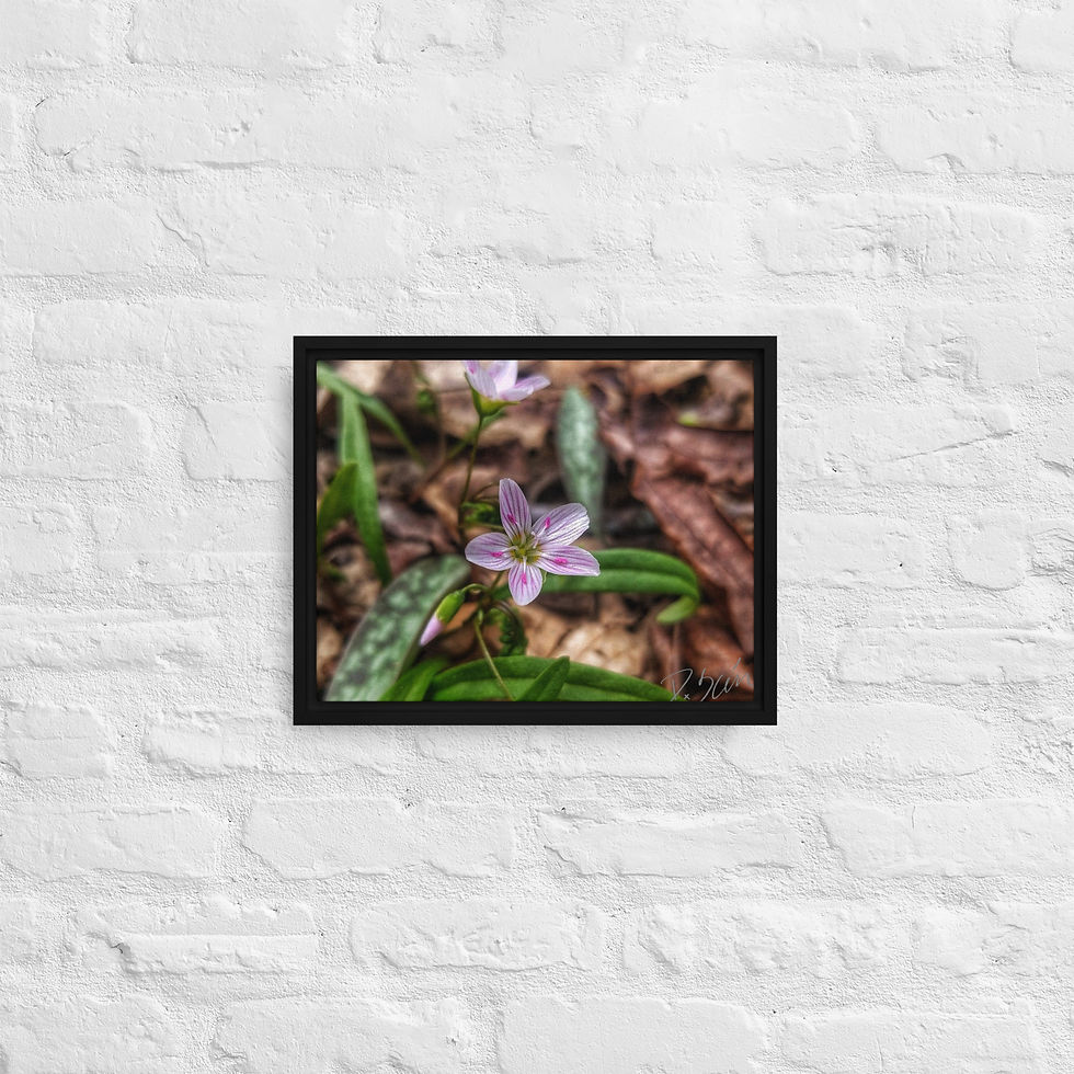 Thumbnail: Little Flower