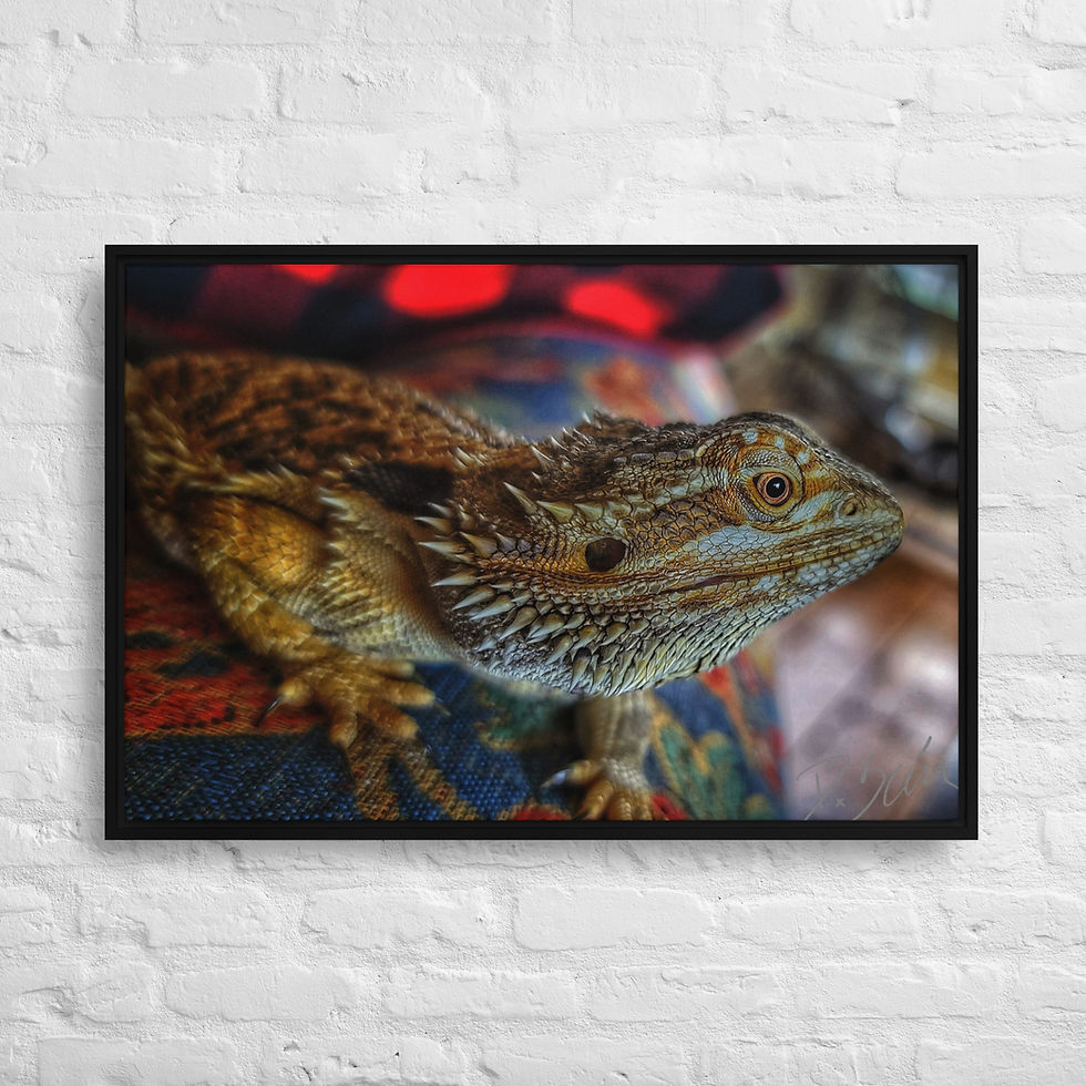 Thumbnail: Dragons Lair