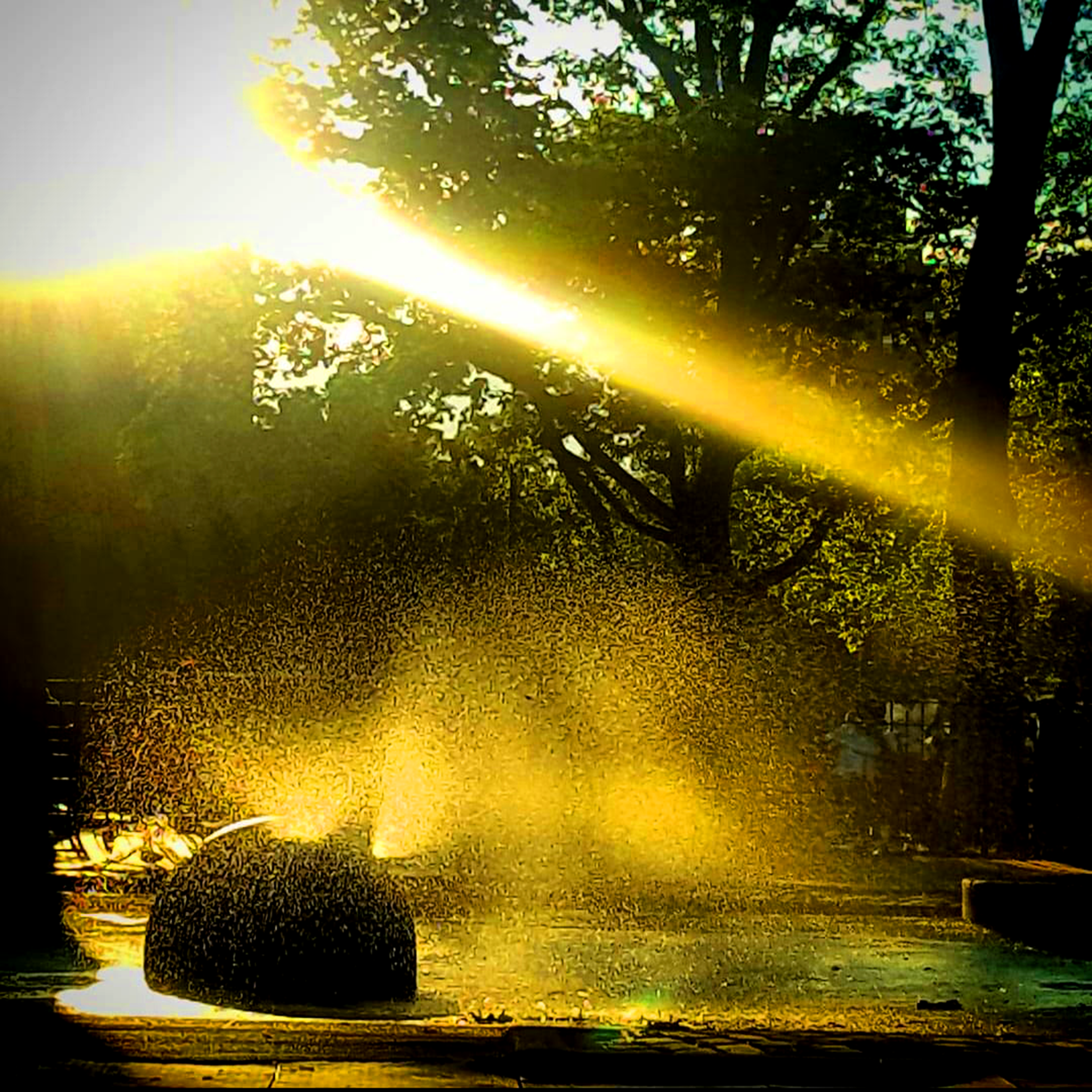 Brooklyn Park