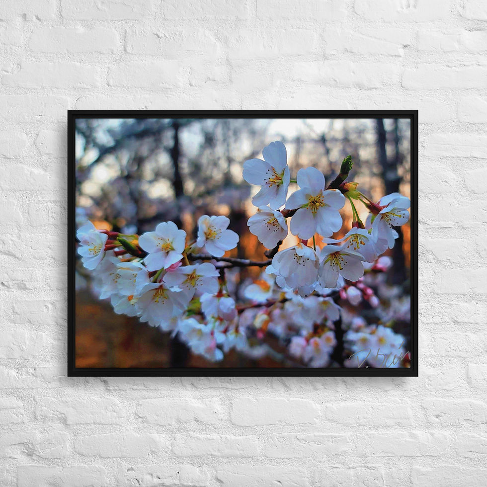 Thumbnail: Blossom