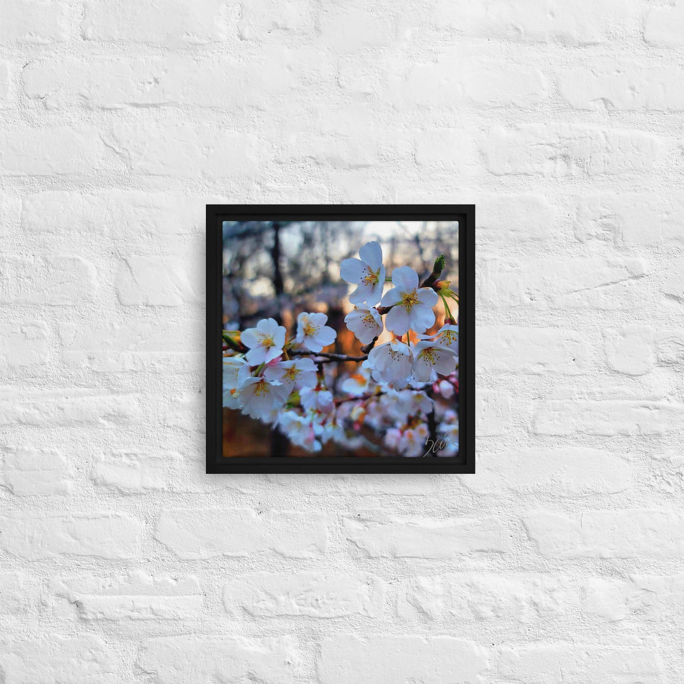 Thumbnail: Blossom