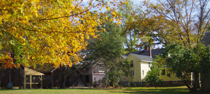 Recovery and Thanksgiving
