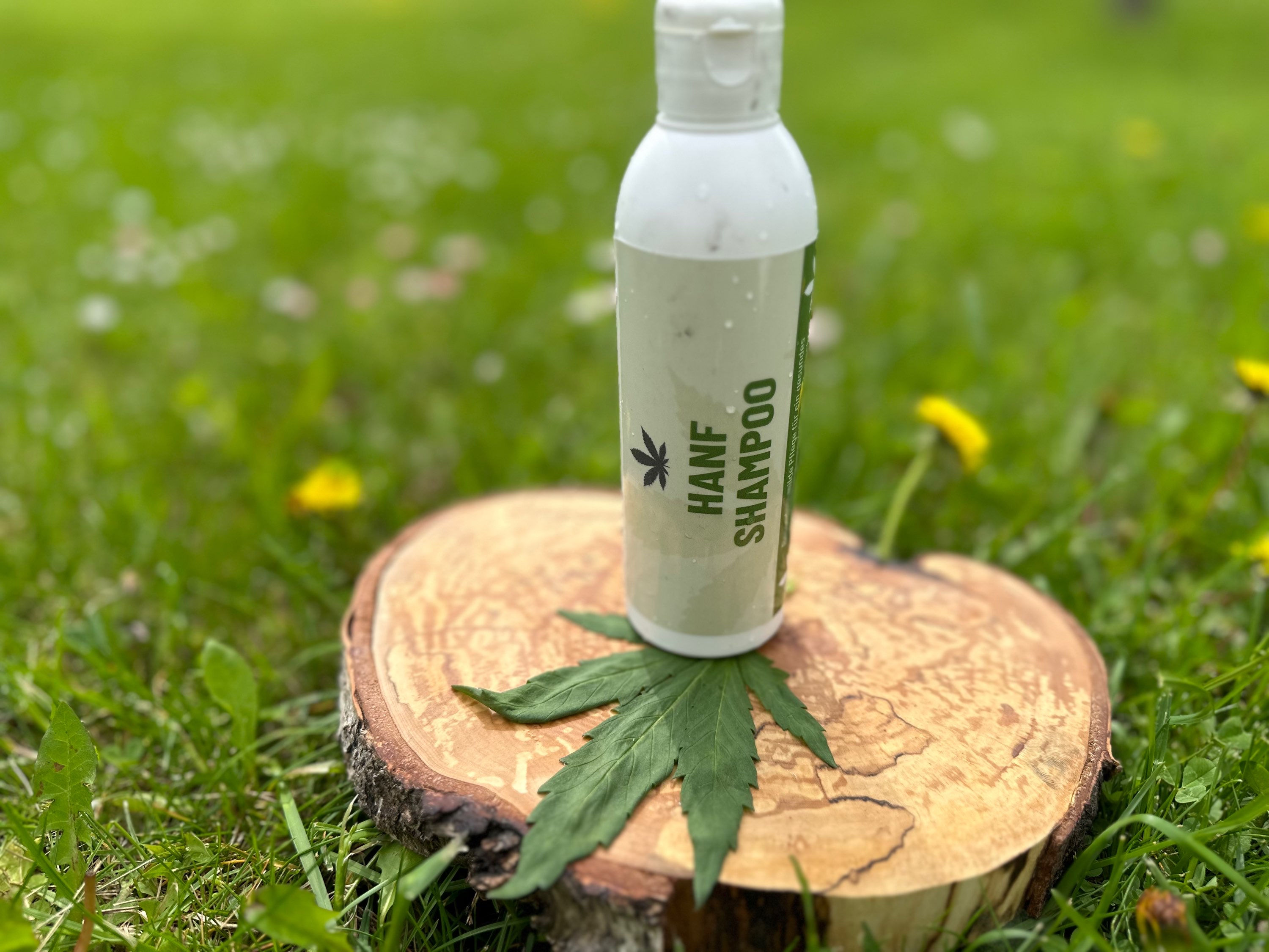 Shampoo-Bio-Tirol-Hanf-Alpenhanf