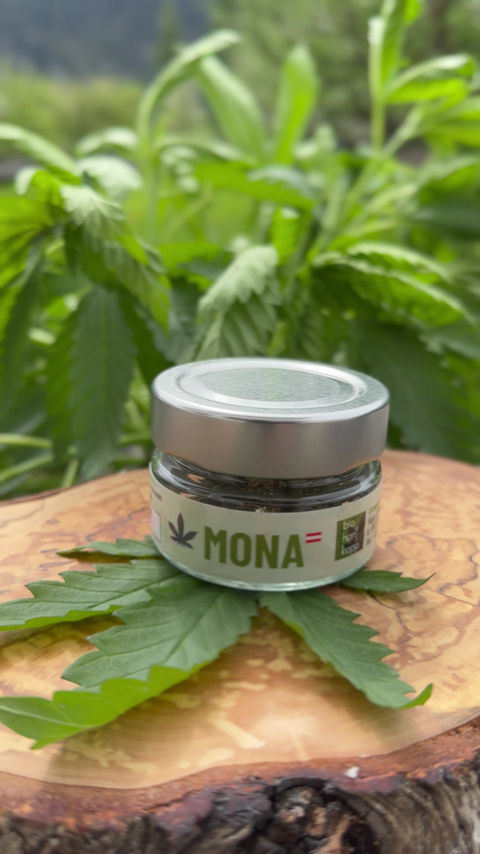 Miniaturbild: Hanf-Hanfblüten-CBD-Haiming-Tirol