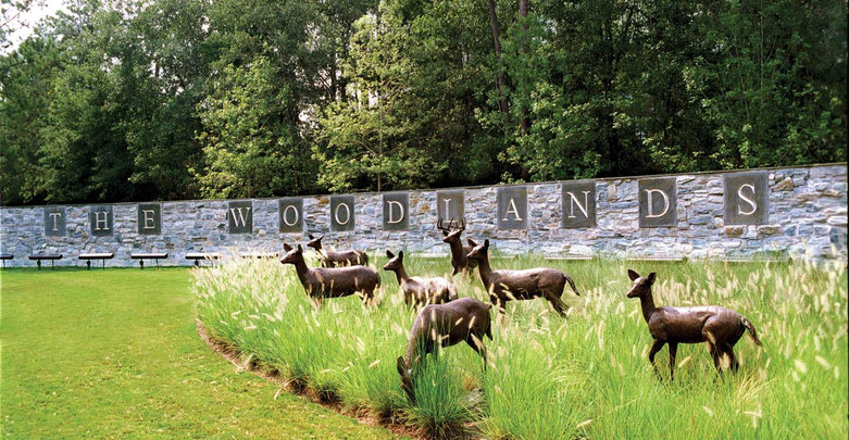 Woodlands3.jpeg