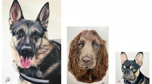 Trinity Ruhl Artist Pet Portrait Sizing and Price Guide