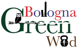 def-bolo-green_edited.png
