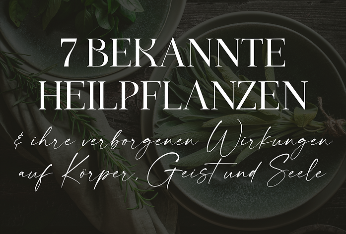 Wix_Product_Vorschau (2).png