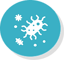 Bugs Data Icon.webp
